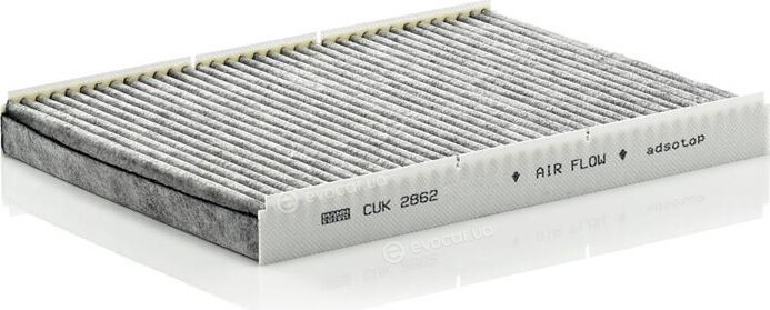 Mann CUK 2862