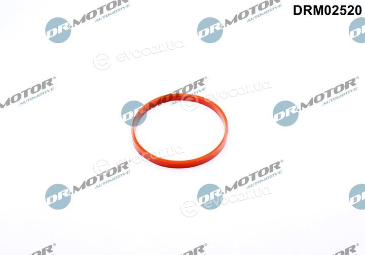 Dr. Motor DRM02520