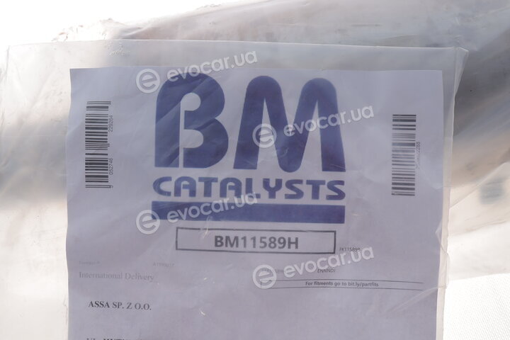 BM Catalysts BM11589H