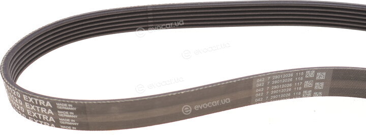 Continental 6PK1120 EXTRA K1