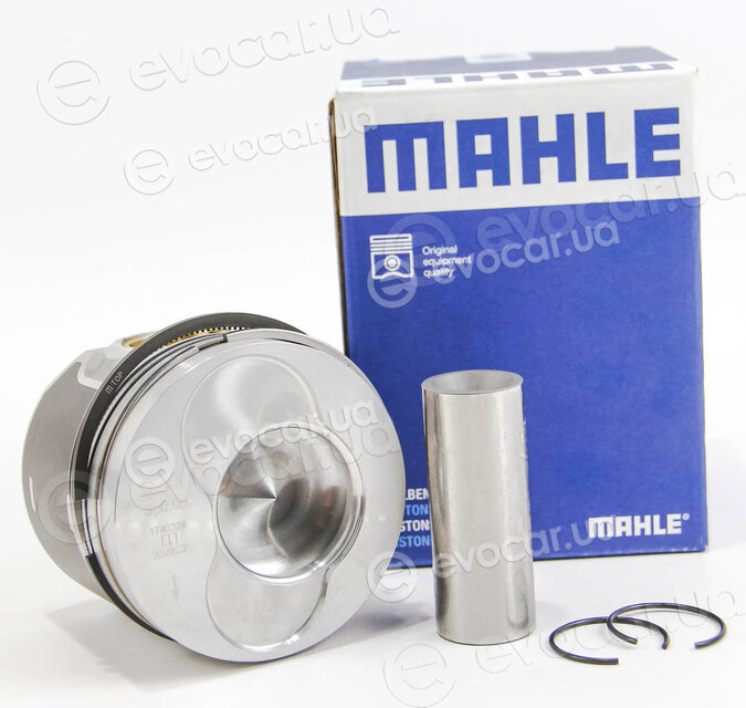 Mahle 030 97 00