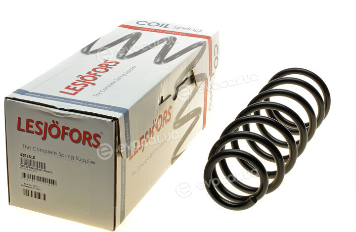 Lesjofors 4292610