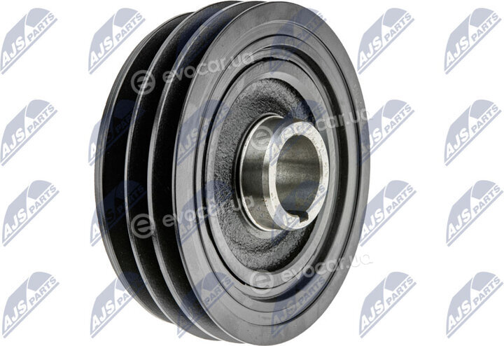 NTY RKP-MS-029