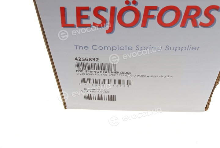 Lesjofors 4256832