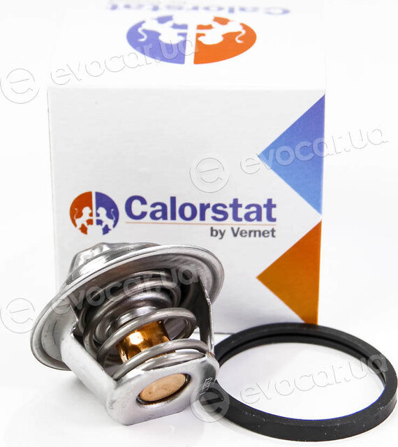 Vernet / Calorstat TH4898.87J