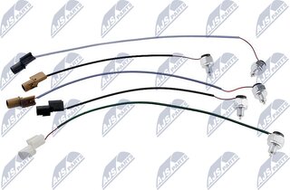 NTY EAG-MS-000