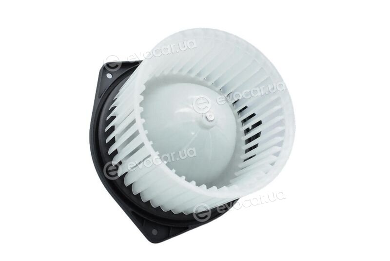 Walker / Fonos WBL00968