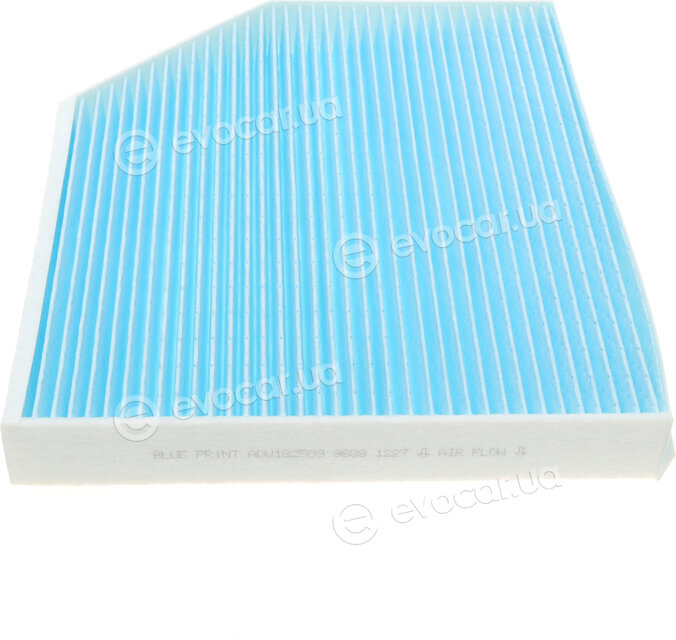 Blue Print ADV182509