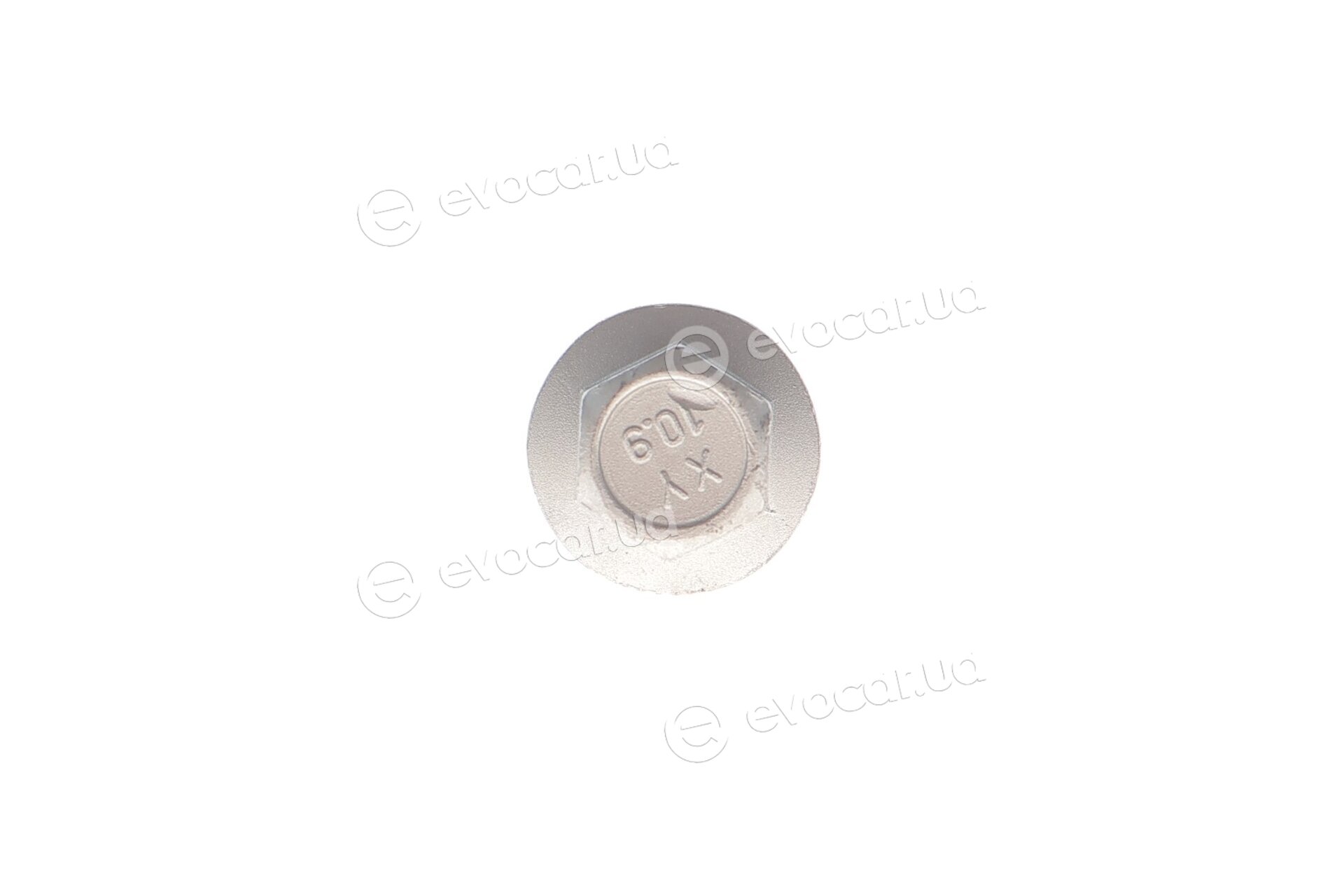 Solgy 204233