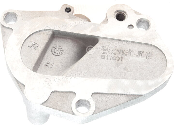 Borsehung B16295