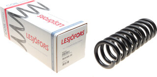 Lesjofors 4062063
