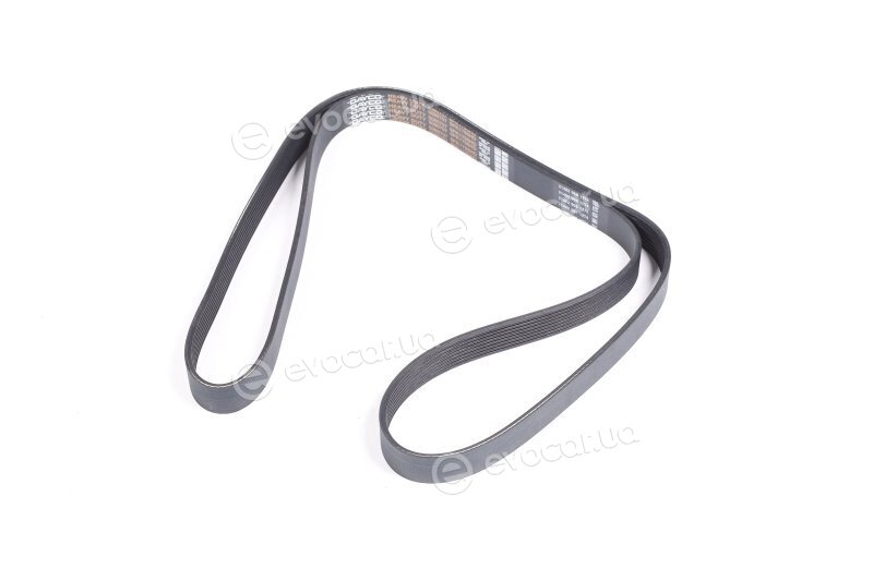 Dayco 8PK1795HD