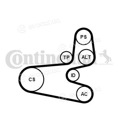 Continental 6PK1560K1