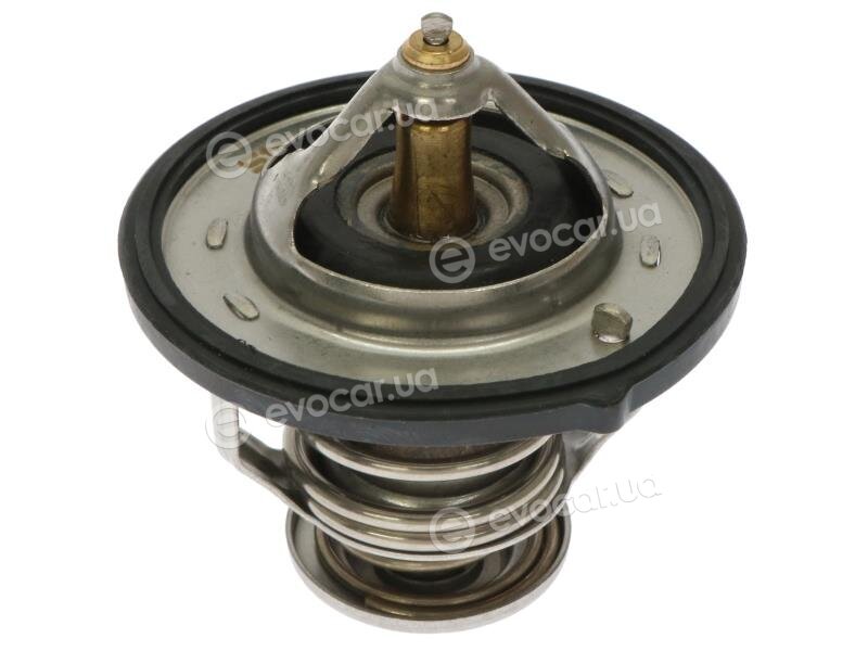 Starline TS T119.82T