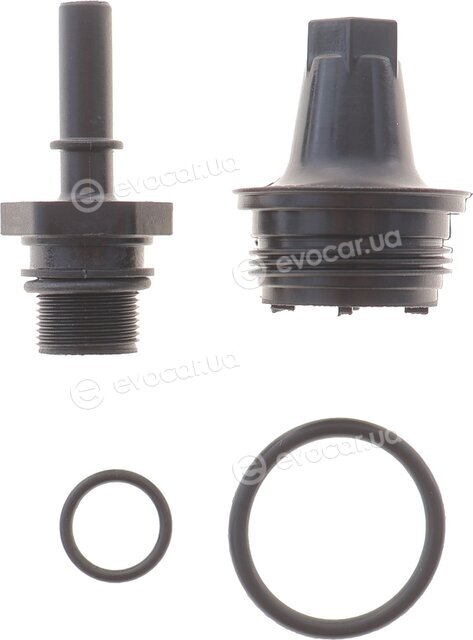 Solgy 124036