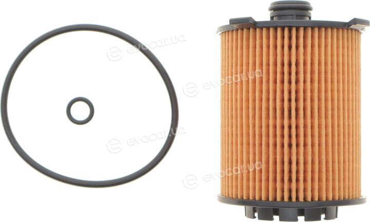 AMC FOF-10126