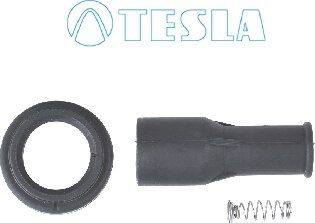 Tesla CP079