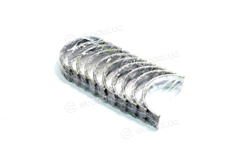 Mahle 029 HS 19761 025