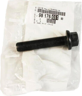 Mopar (PSA / FCA) 9817665180