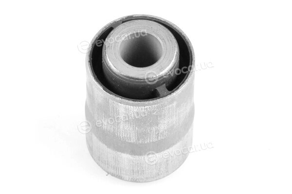 Tedgum TED41043