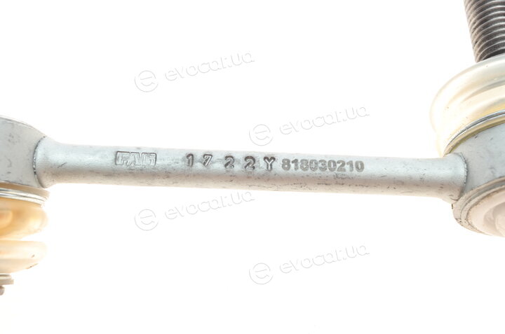 FAG 818 0302 10