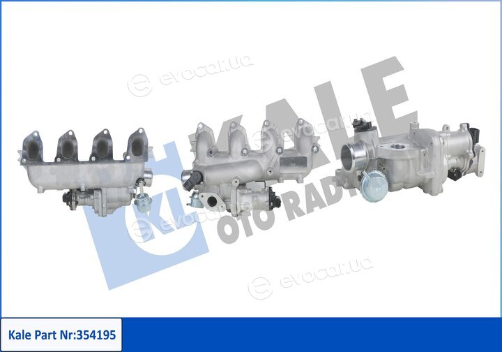 Kale 354195