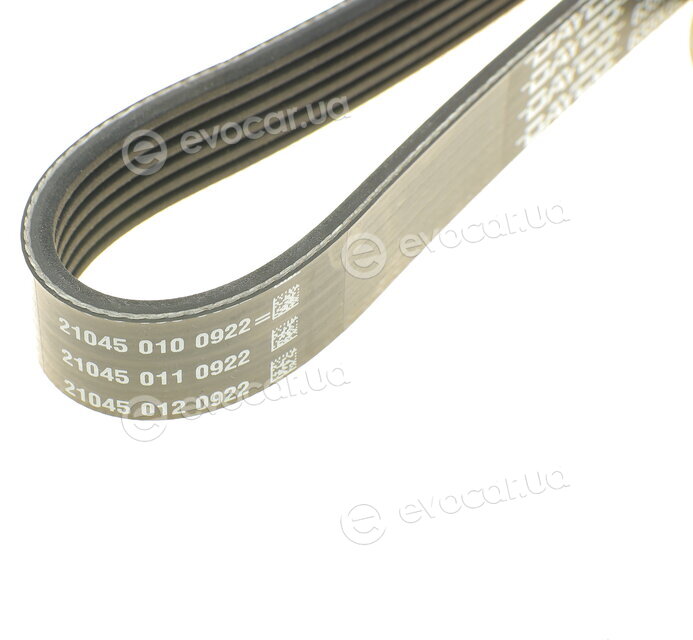 Dayco 6PK1613