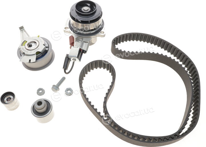 Continental CT1168WP3