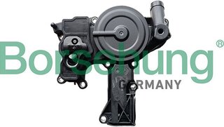 Borsehung B11924