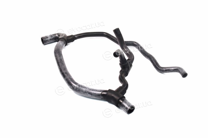 Gates 05-3127