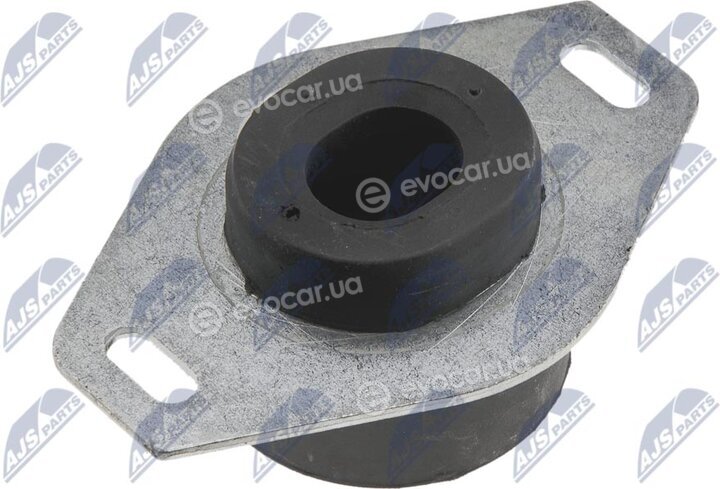 NTY ZPS-PE-009