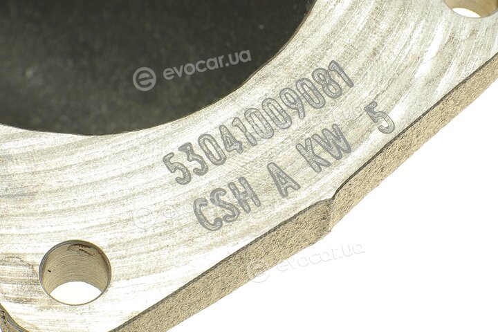 BorgWarner 53049880057