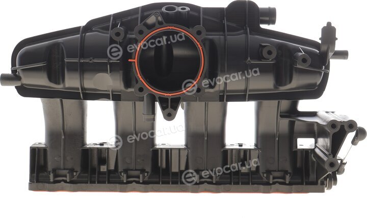 Elring B34.890