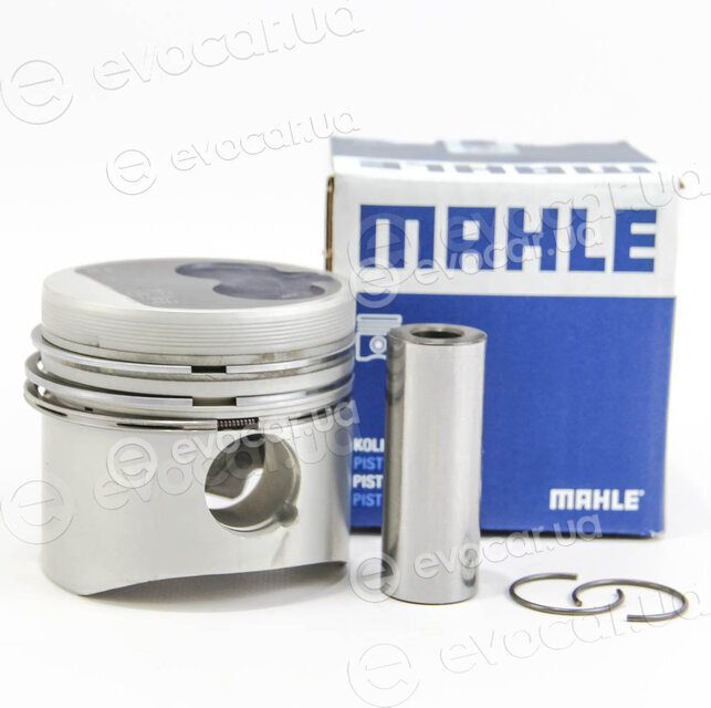 Mahle 029 79 02