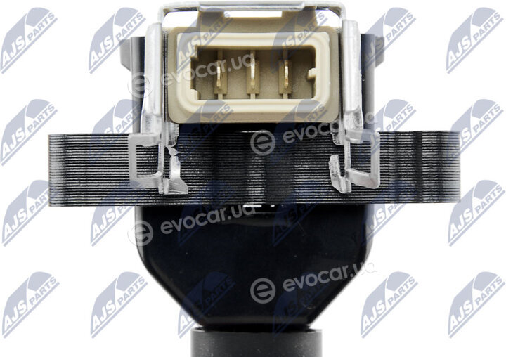 NTY ECZ-BM-010