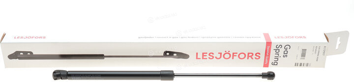 Lesjofors 8172977