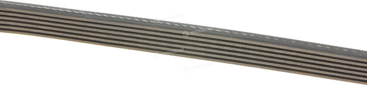 Gates 6PK1915