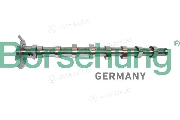 Borsehung B11321