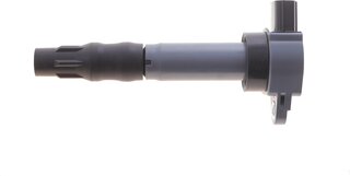 Beru ZSE310