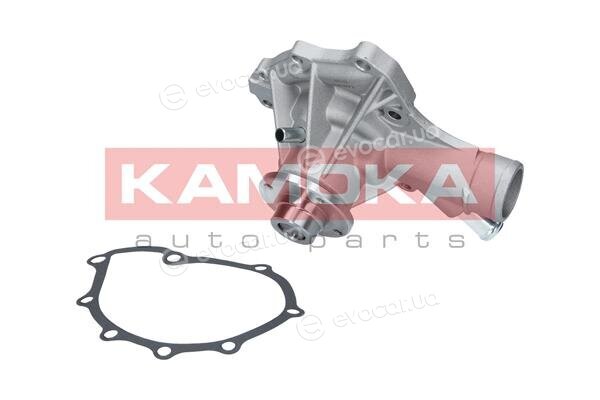 Kamoka T0189