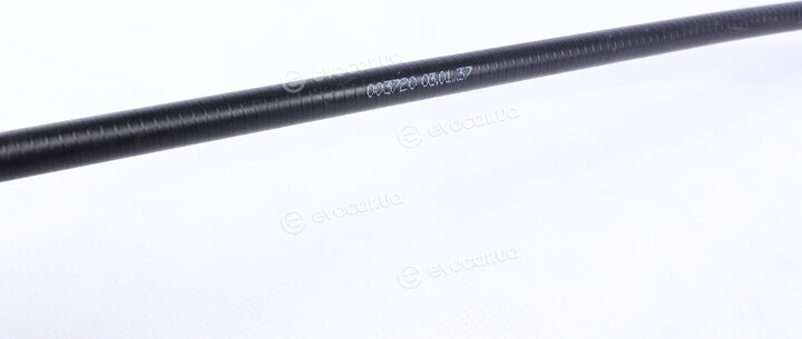 Linex 03.01.37