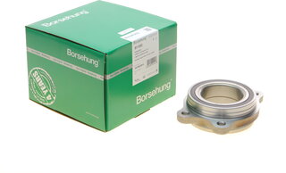 Borsehung B11292