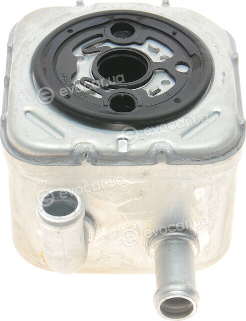 Van Wezel 58003082