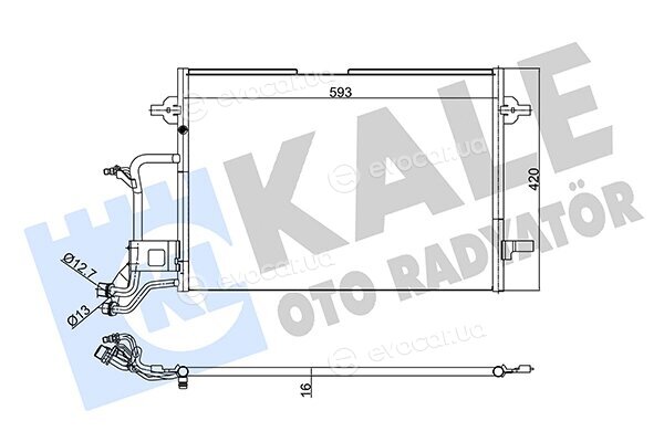 Kale 342935