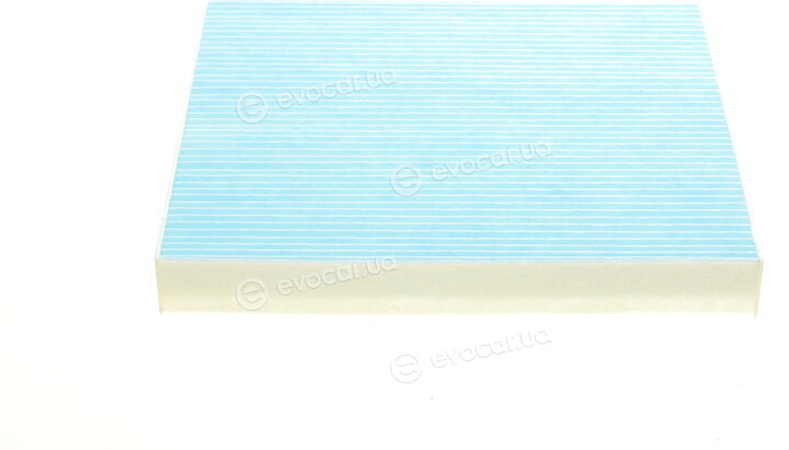 Blue Print ADG02587