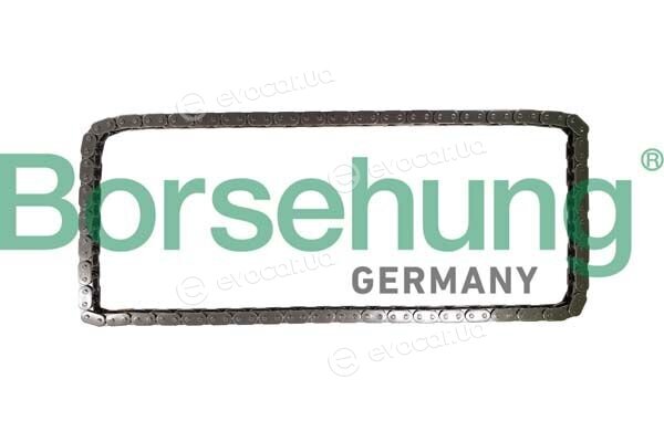 Borsehung B12773