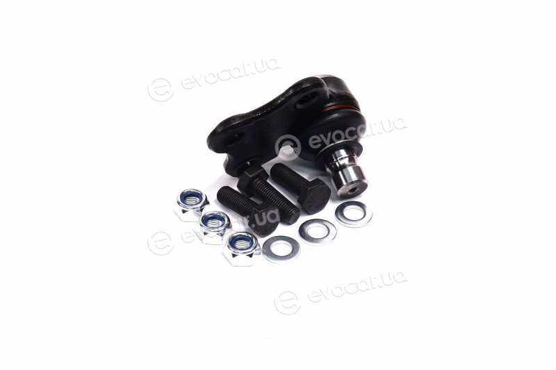 Sasic 6403513