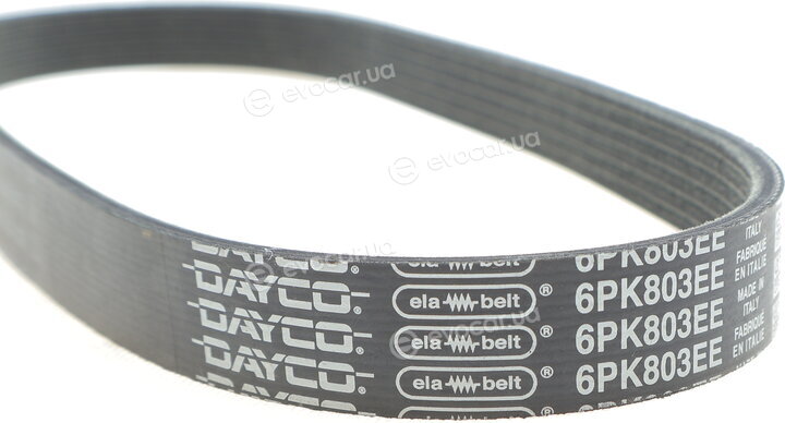 Dayco 6PK803EE