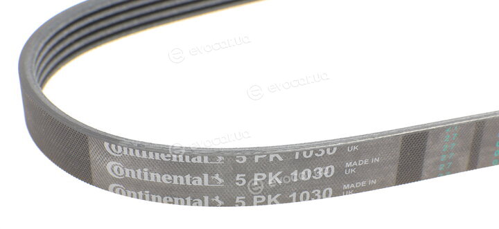 Continental 5PK1030