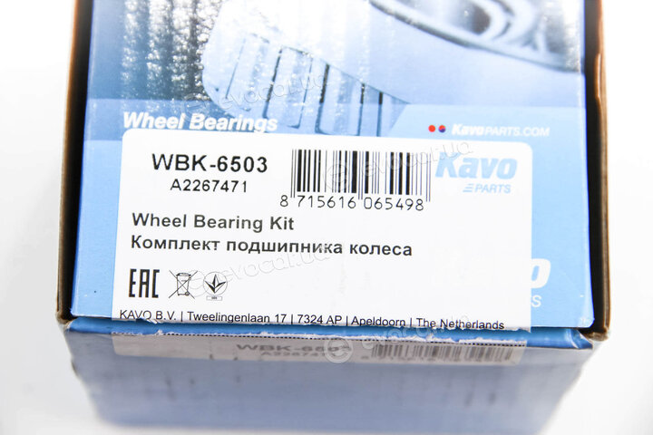 Kavo WBK-6503